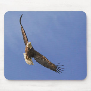 Soaring Bald Eagle Mouse Mat