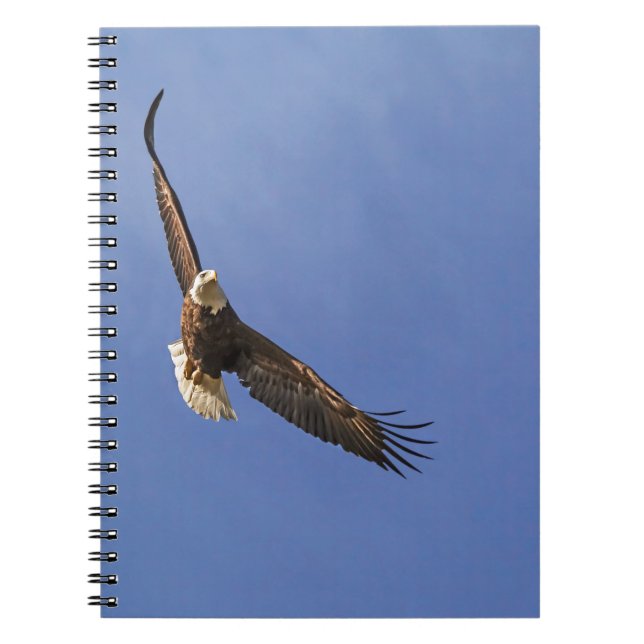 Soaring Bald Eagle Notebook (Front)