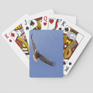 Soaring Bald Eagle Playing Cards