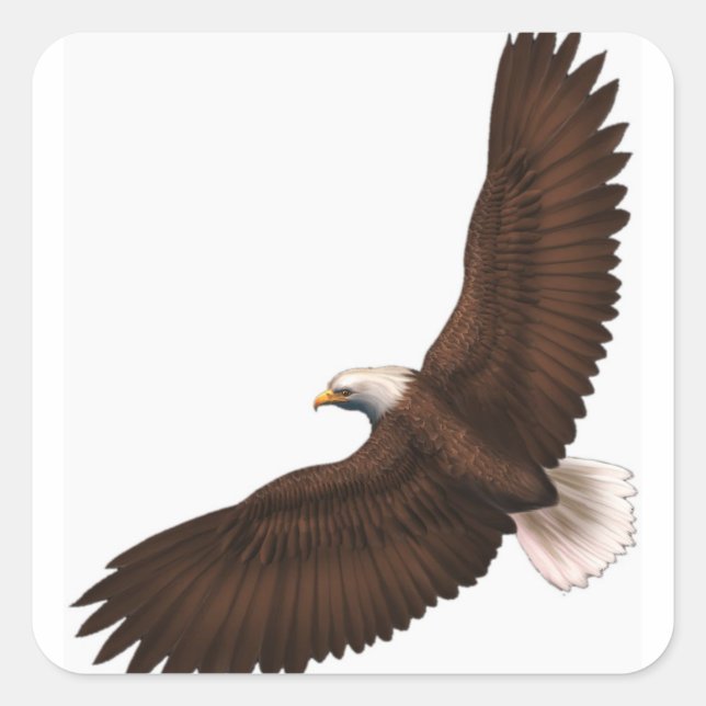 Soaring Bald Eagle Square Sticker (Front)