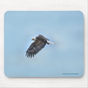 Soaring Bald Eagle Wildife Photo 4 Mouse Mat
