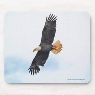 Soaring Bald Eagle Wildife Photo Art Mouse Mat