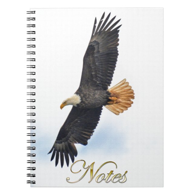 Soaring Bald Eagle Wildife Photo Art Notebook (Front)