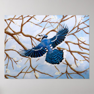 Soaring Blue Jay Poster