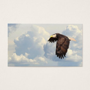 SOARING EAGLE