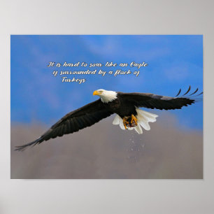 Soaring Eagle and Turkeys Poster