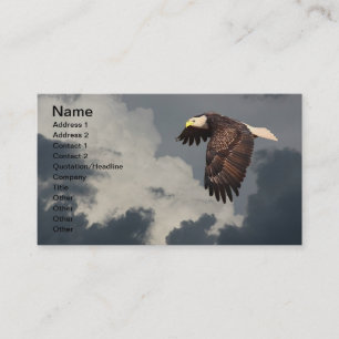 SOARING EAGLE BUSINESS CARD