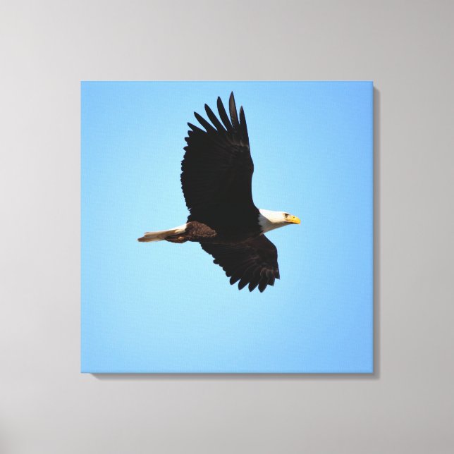 Soaring Eagle Canvas Print (Front)