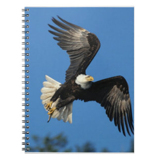 Soaring Eagle Notebook