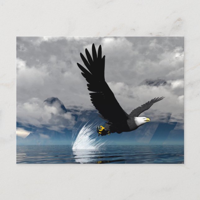 Soaring Eagle Postcard (Front)