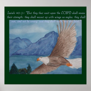 Soaring eagle poster