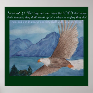 Soaring eagle poster