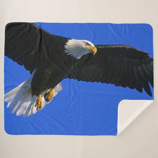 SOARING EAGLE SHERPA BLANKET (Front (Horizontal))