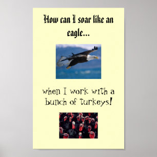 soaring eagle, Turkeys, How can I soar like an ... Poster