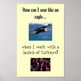 soaring eagle, Turkeys, How can I soar like an ... Poster