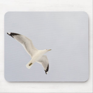 Soaring Gull Mouse Mat