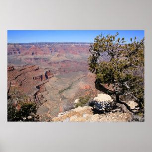 Soaring Heights Poster