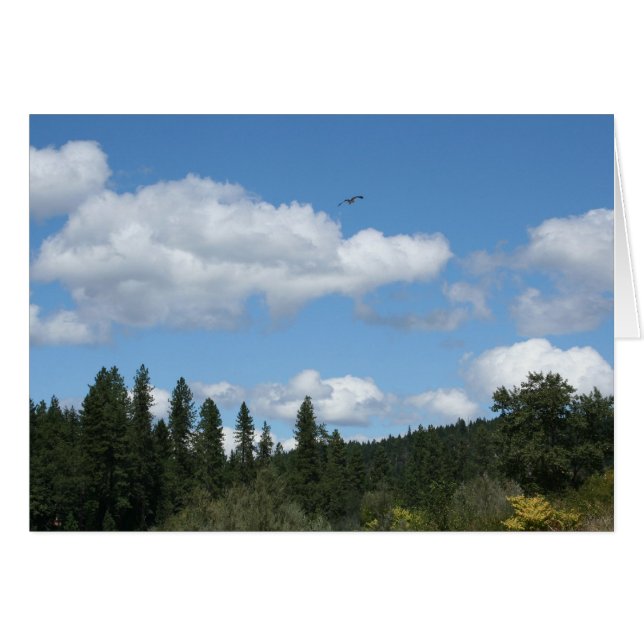 Soaring Osprey (Front Horizontal)