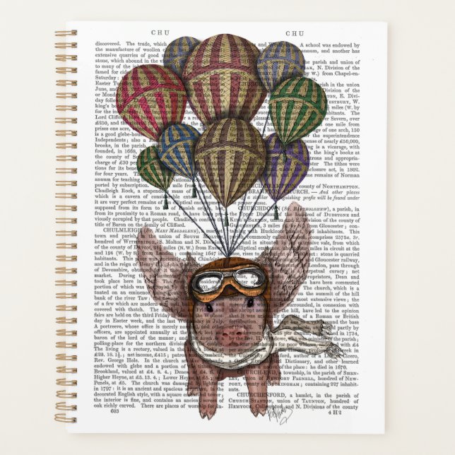 Soaring Pig Planner (Front)