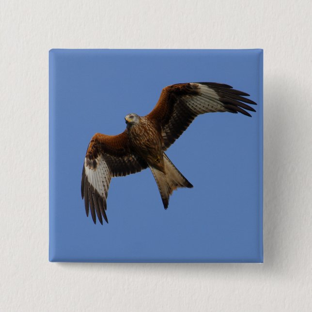 Soaring Red Kite 15 Cm Square Badge (Front)
