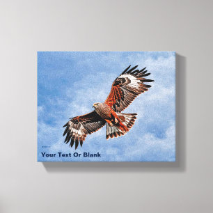 Soaring Red Kite Canvas Print