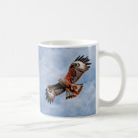 Soaring Red Kite