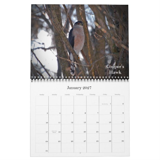 Soaring to New Heights Calendar (Jan 2027)