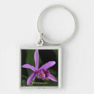 Sobralia Bouchei Key Ring