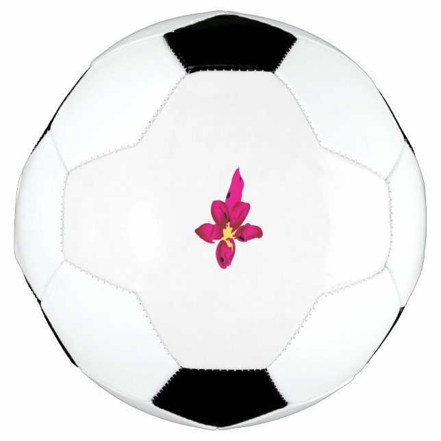 Soccer Ball (Front)