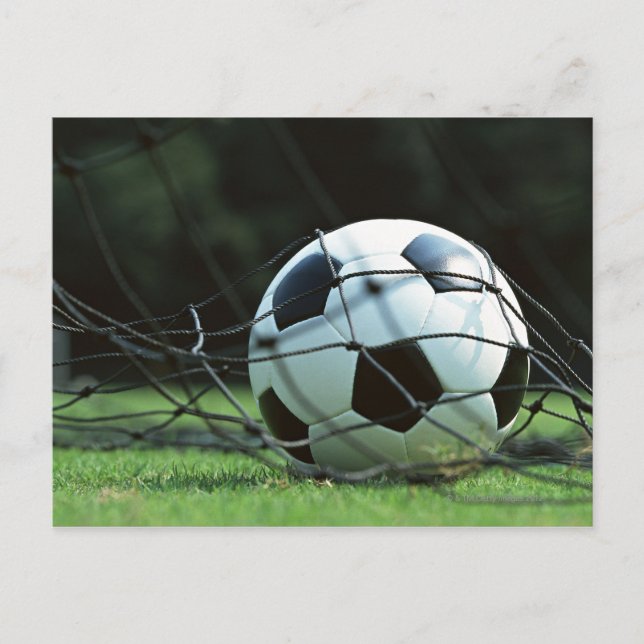 Soccer Ball 3 Postcard (Front)