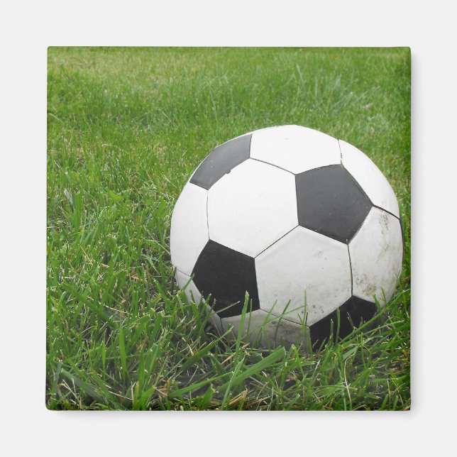 Soccer Ball in Grass Magnet (Front)