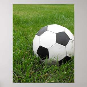 Soccer Ball in Grass Poster