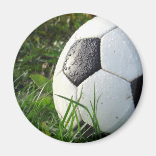Soccer~ Foot Ball in field Magnet
