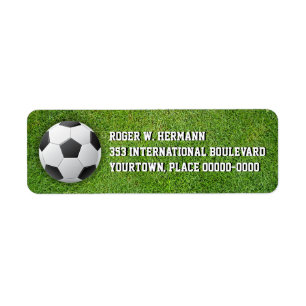 Soccer Football in the Grass