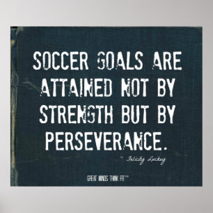 Soccer Goals Poster in Ripped Denim 008