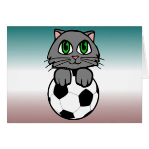 Soccer Kitten