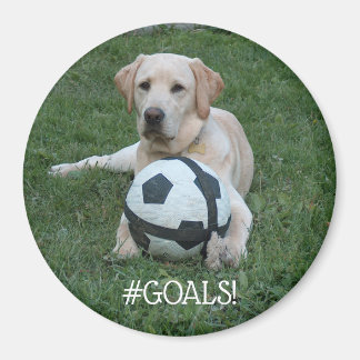 Soccer Lab #GOALS! Magnet