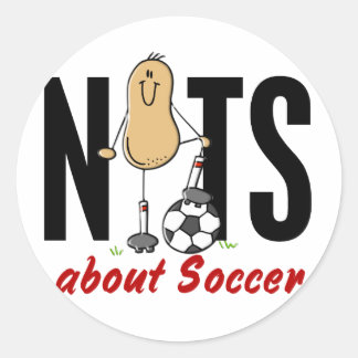 Soccer Nut 2 Classic Round Sticker