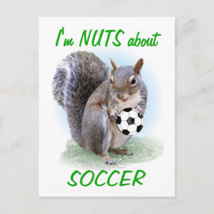 Soccer Nut Postcard