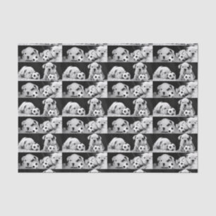 "Soccer Puppies" English Bulldog Collage Tissue Paper