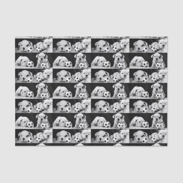 "Soccer Puppies" English Bulldog Collage Tissue Paper (Front)