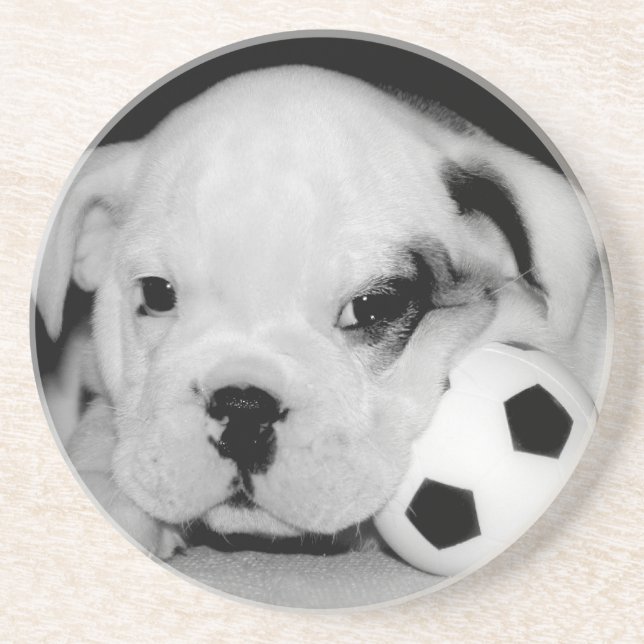 "Soccer Puppy" English Bulldog Coaster (Front)