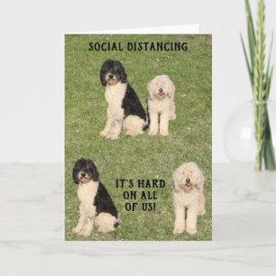 Social Distancing Golden Doodle Dogs Card