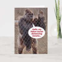 Social Distancing Gorilla Encouragement and Coping