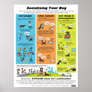 Socialising Your Dog Poster