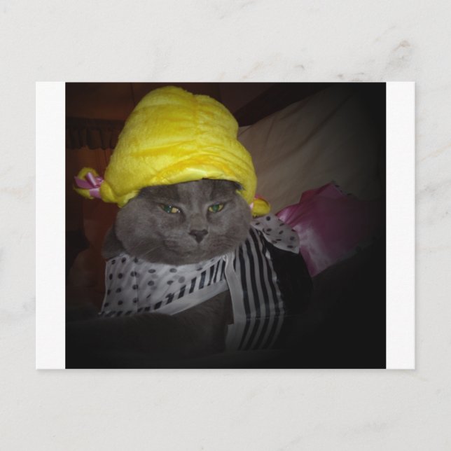 Sock Hop Kitty Postcard (Front)