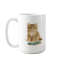 Sock It to Me – American Curl Kitten Edition