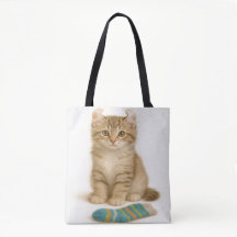 Sock It to Me – American Curl Kitten Edition