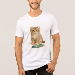 Sock It to Me – American Curl Kitten Edition Tri-Blend Shirt