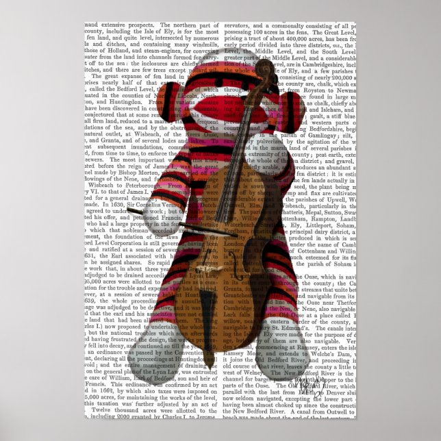 Sock Monkey and Cello Poster (Front)